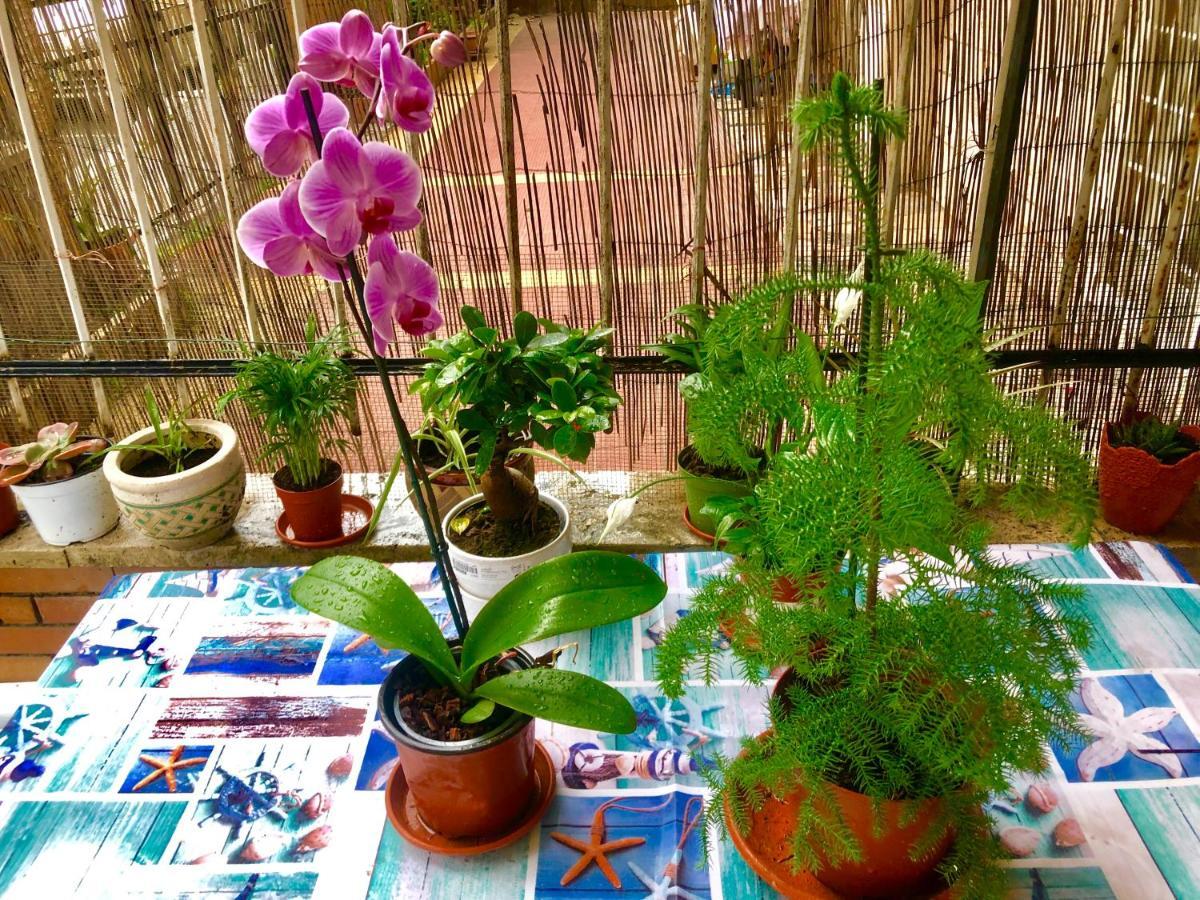 Lizart Garden Rom